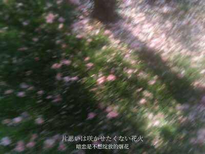 而我永远替你明媚