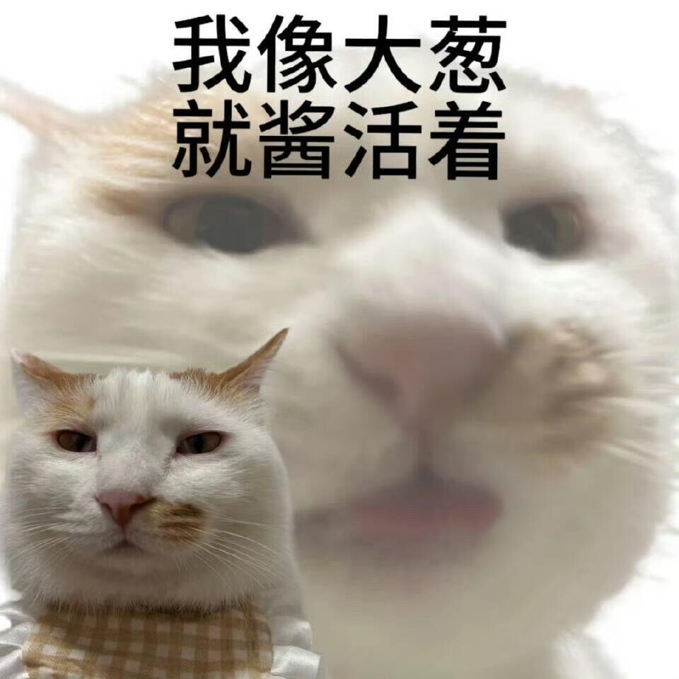 你很胖 才不是毛茸茸