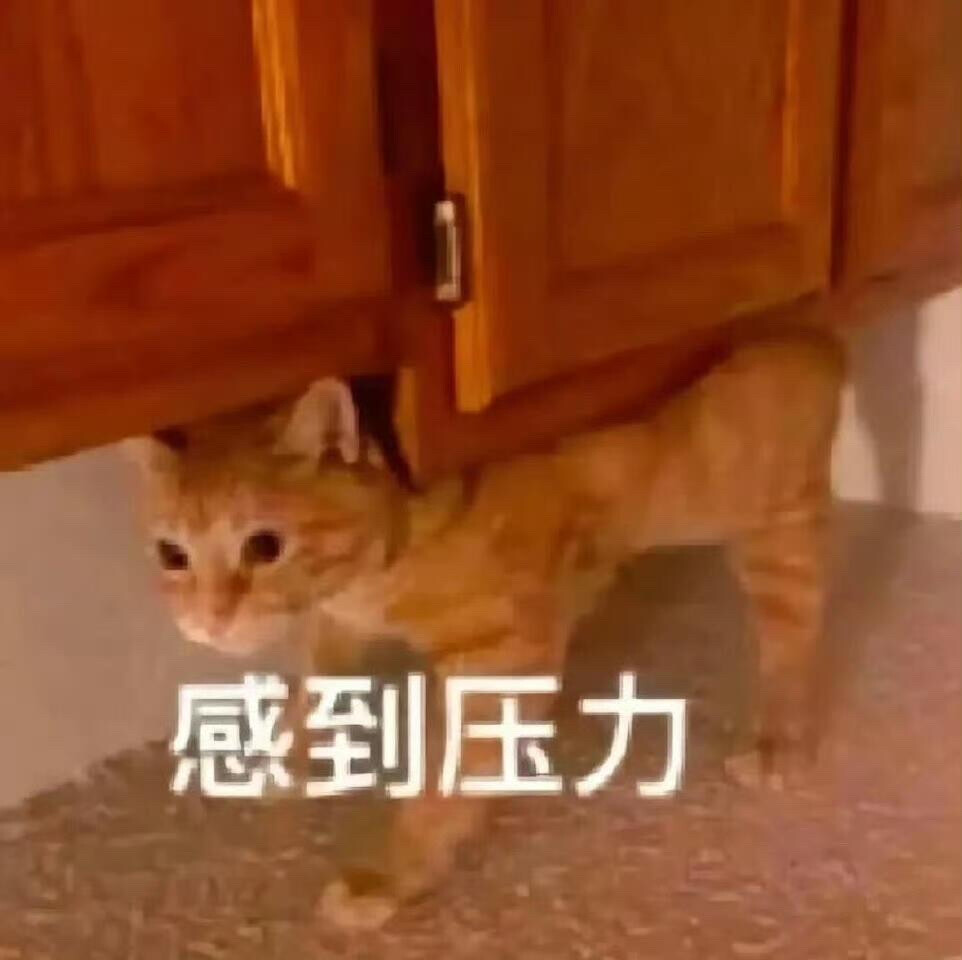 你很胖 才不是毛茸茸