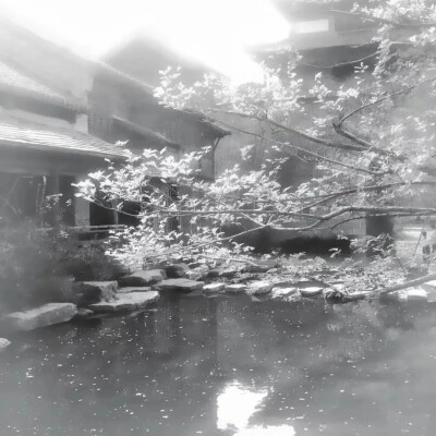 ：愛意落灰結网
