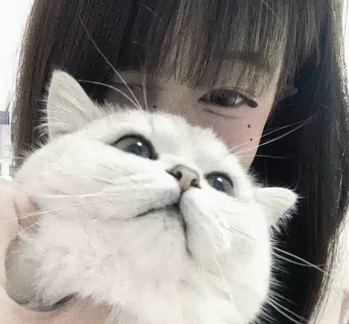 ings女头带氛围感