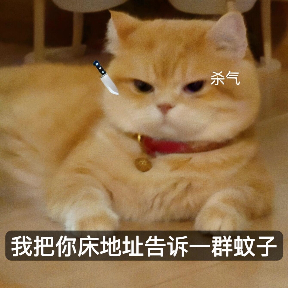 你很胖 才不是毛茸茸