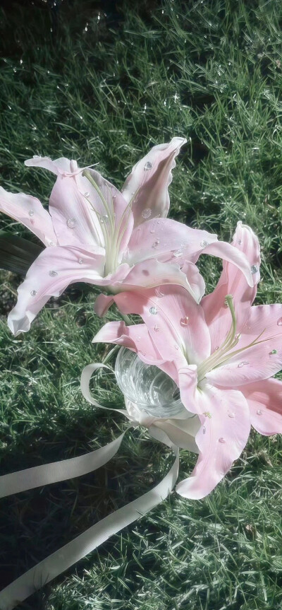 壁纸