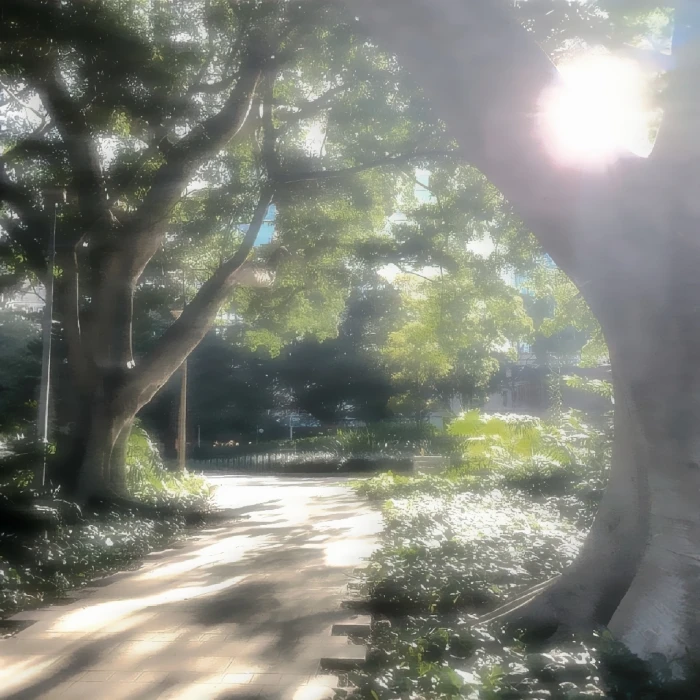 聆听那季冬宝宝送哒