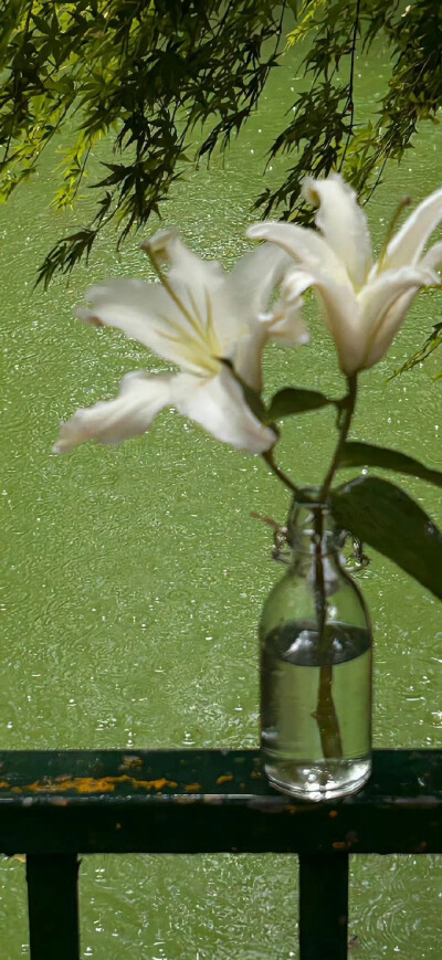 水