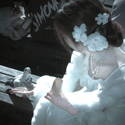 你很好哄 一个访客记录就够了