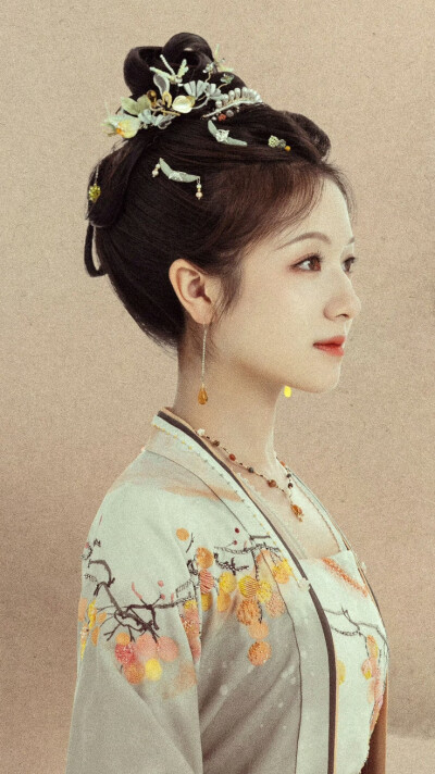 朝雪录 秦莞 李兰迪