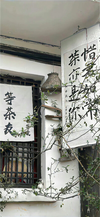 手机壁纸