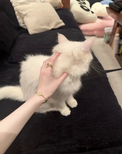 部位