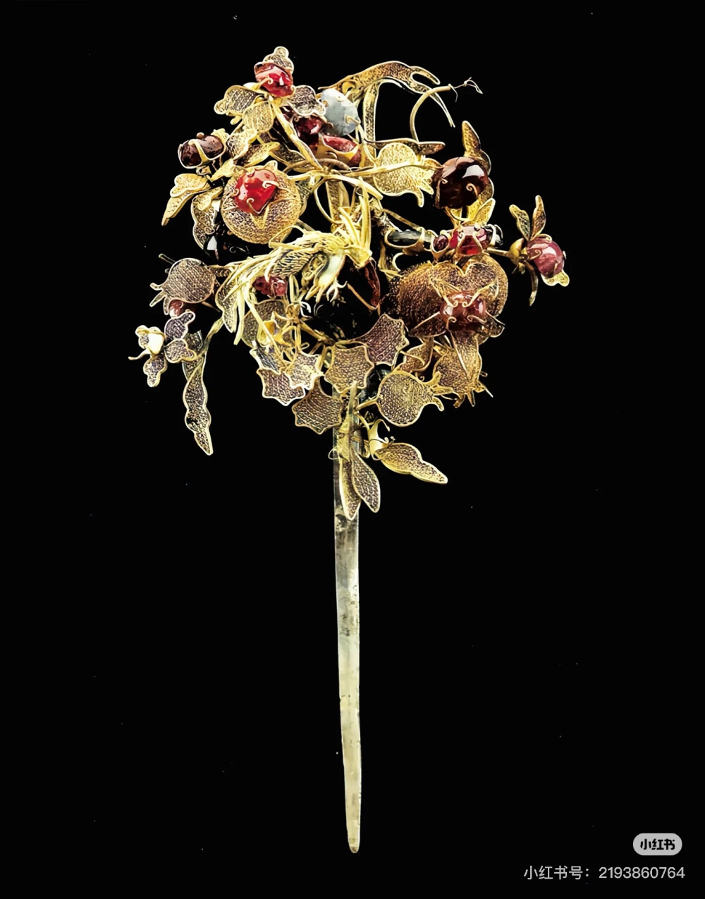 璀璨-小红书转载