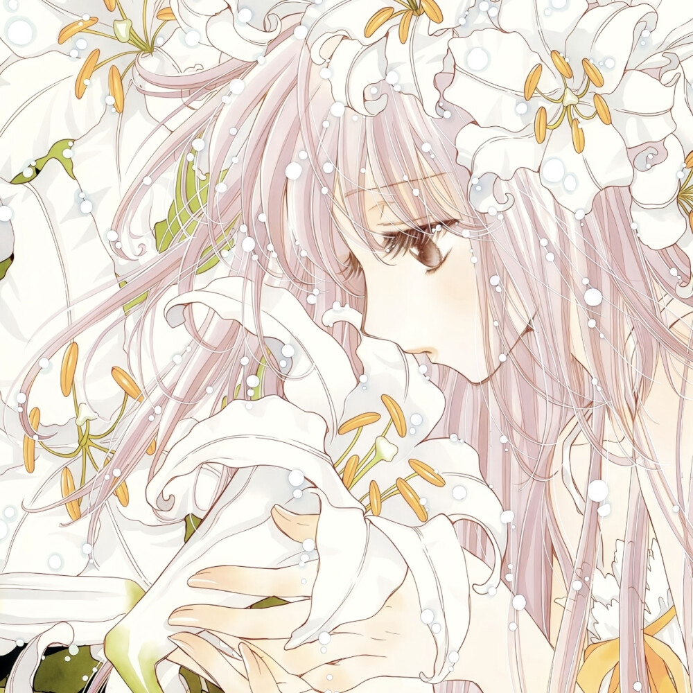 小鸠