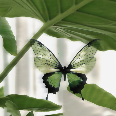 被这个聆听那季冬宠了^0^