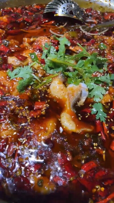 食