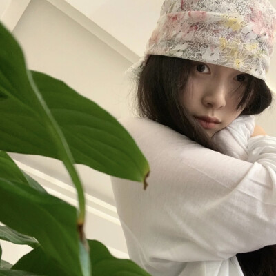 dt林宇婧