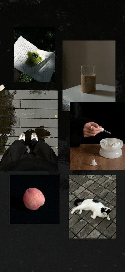 iPhone 壁纸 ♥