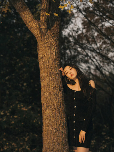 蒋梦婕