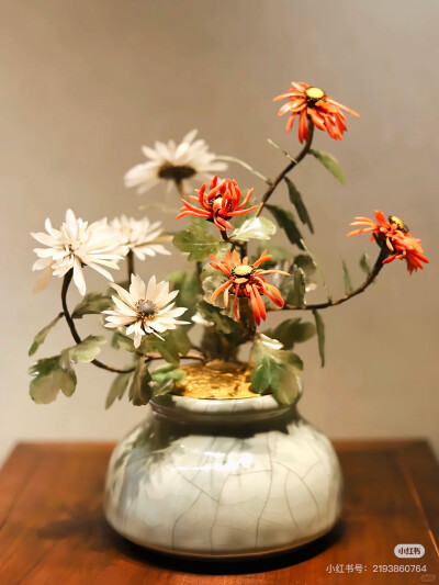 璀璨-小红书转载