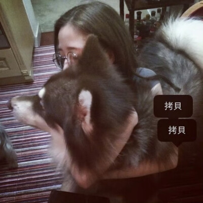 依旧女神图鉴