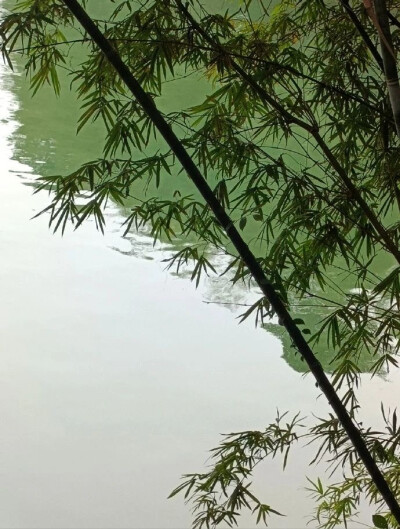 手机壁纸