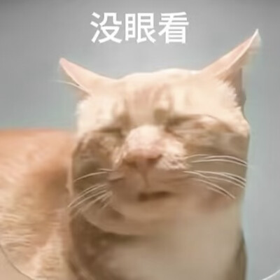 沙雕动物表情包