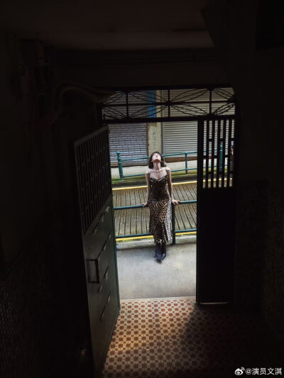 文淇