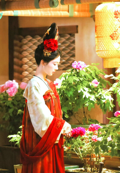 杨紫