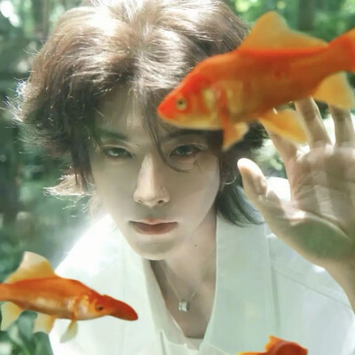 真人男头［侵权删］