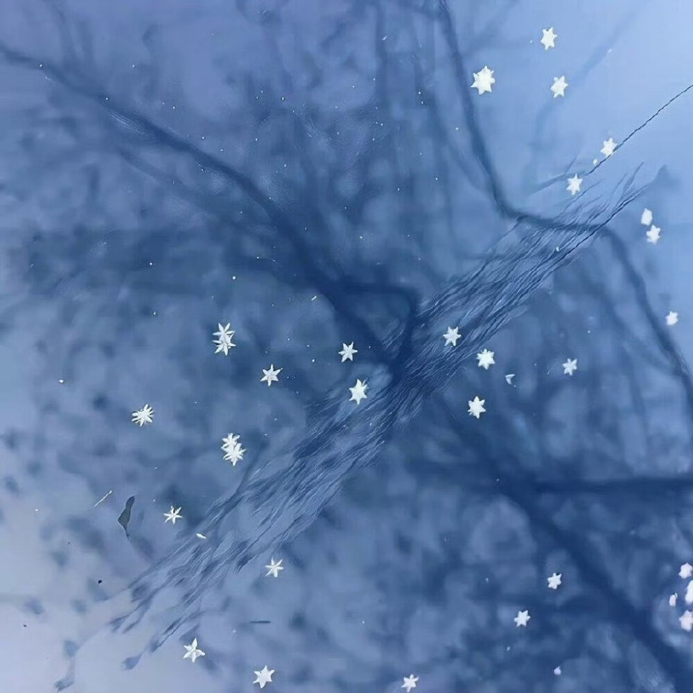 背景