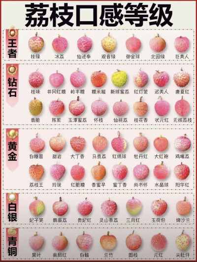 荔枝品种分类