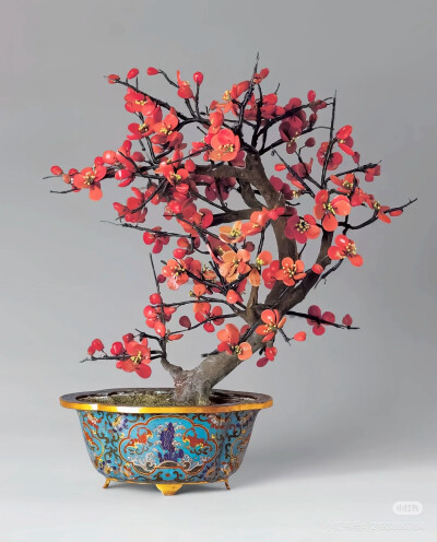 璀璨-小红书转载