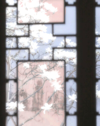 さくら（樱花）