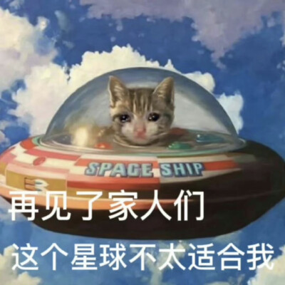 沙雕动物表情包