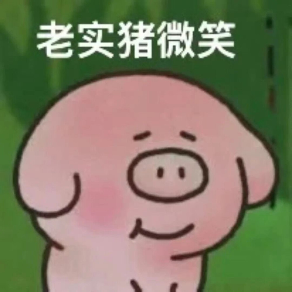 表情包
图片来源于网络 侵删