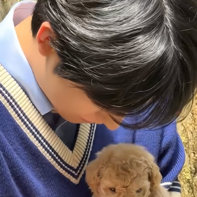 汪汪
