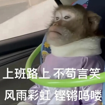 沙雕动物表情包