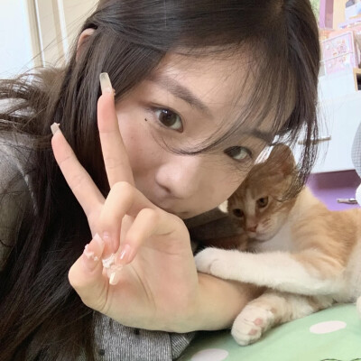 dt林宇婧