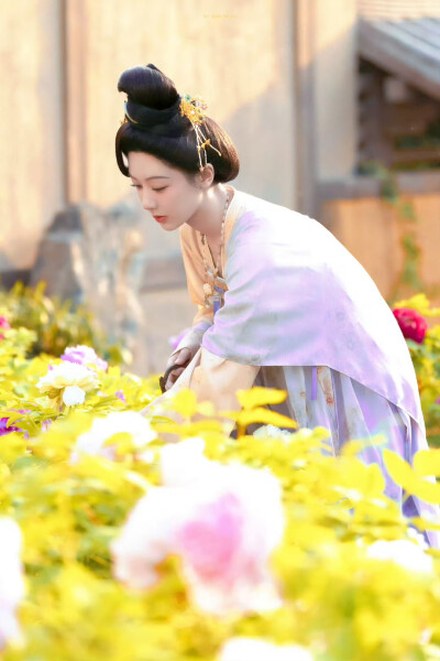 何惟芳 ​​​ 杨紫