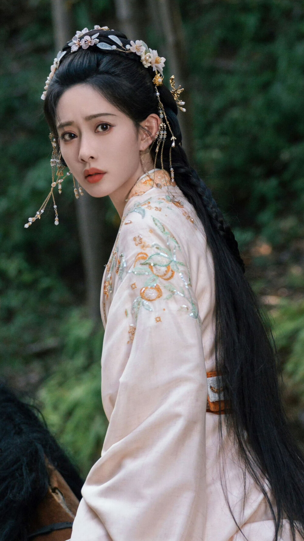 桃花映江山 姜桃花 孟子义