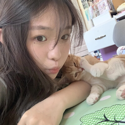 dt林宇婧
