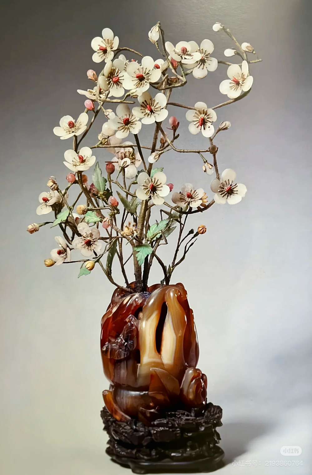 璀璨-小红书转载