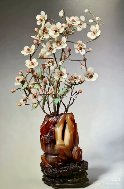 璀璨-小红书转载