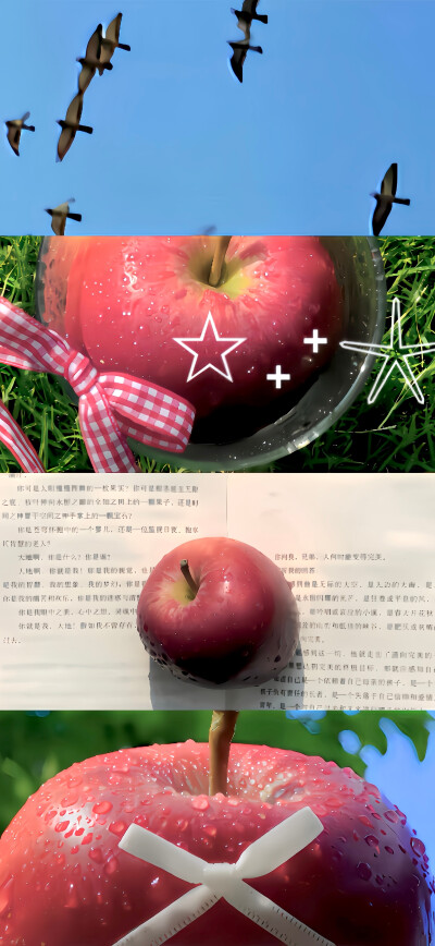 一期夏日壁纸˚₊✯͡
#ins风壁纸#