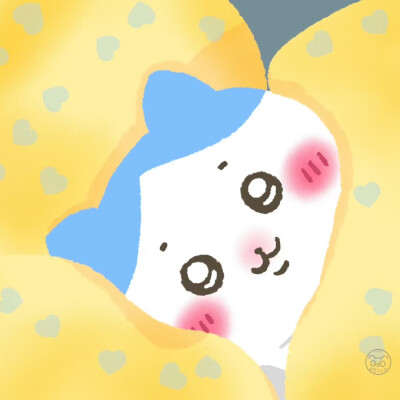 裴阿迪