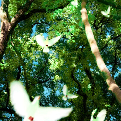 和@幻爱加州的闺蜜款