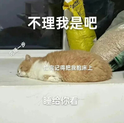 嘿嘿