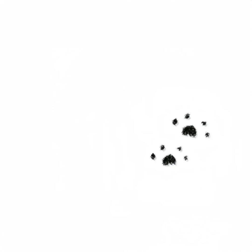 背景图