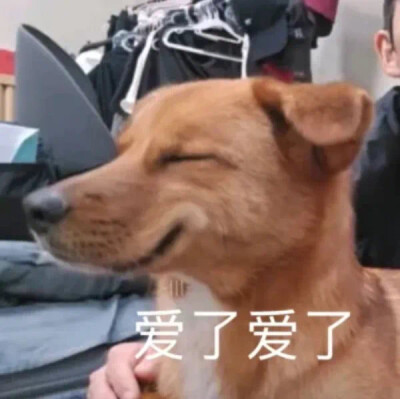 来了