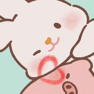 MOMO兔