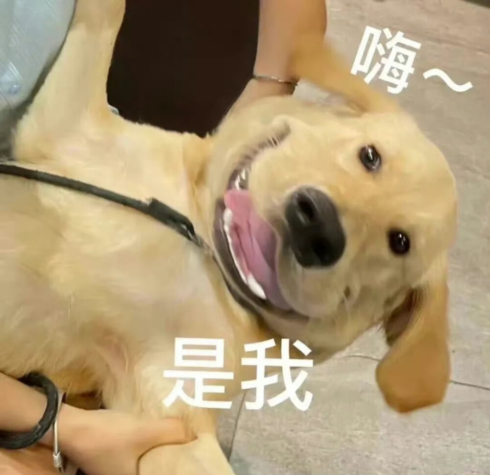 一组