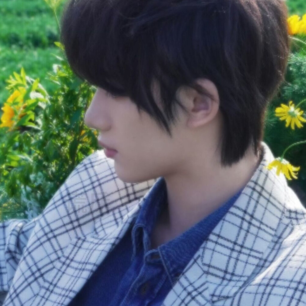 情话兜着圈子乱乱绕